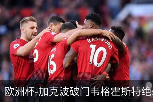 欧洲杯-加克波破门韦格霍斯特绝杀 荷兰2-1波兰