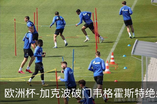 欧洲杯-加克波破门韦格霍斯特绝杀 荷兰2-1波兰